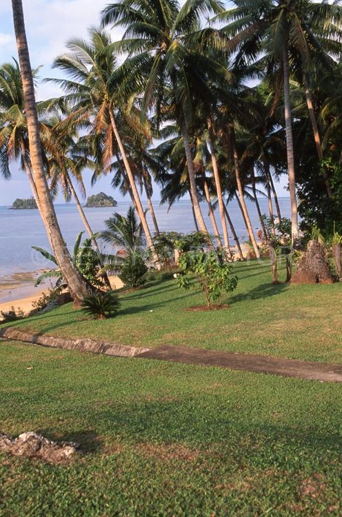 Island;fiji;palm trees;grass;ocean